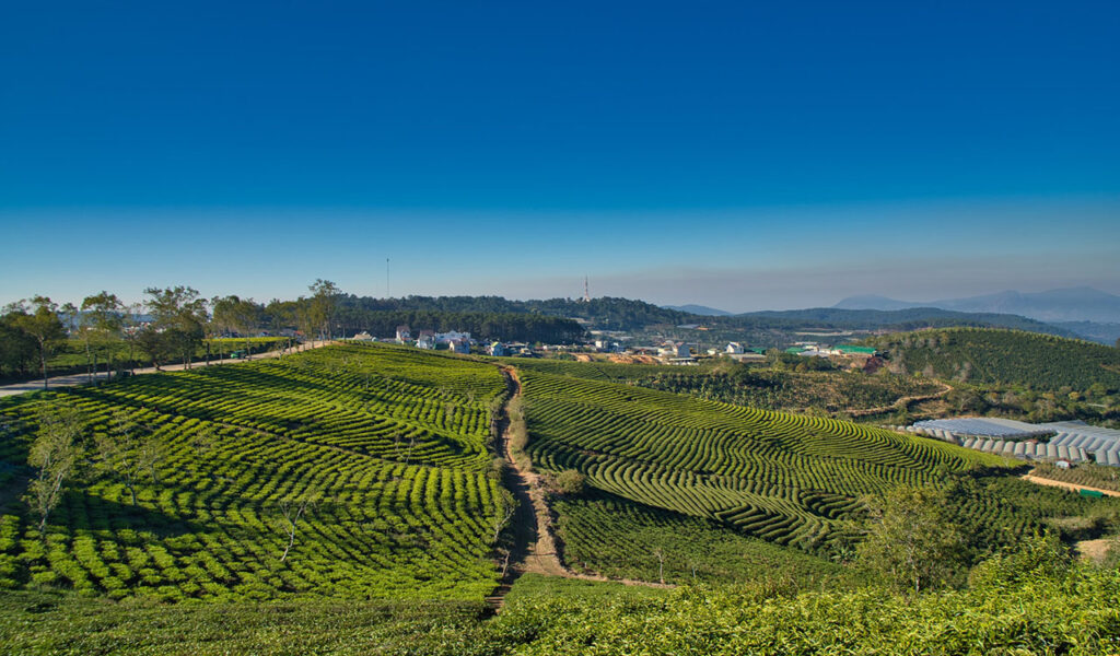 mejores experiencias viaje Vietnam